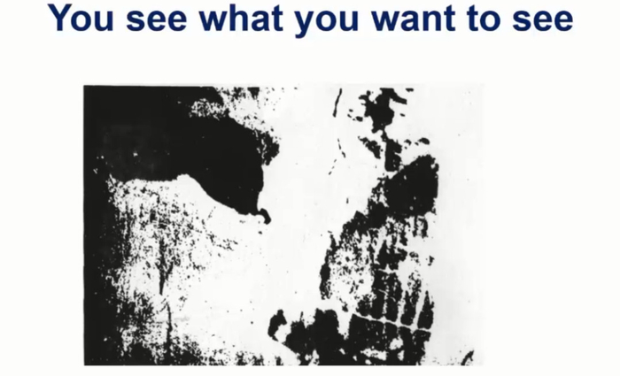 如果你过去没有见过这张图的话是肯定猜不出来的，所以我把图像的轮廓画出来。