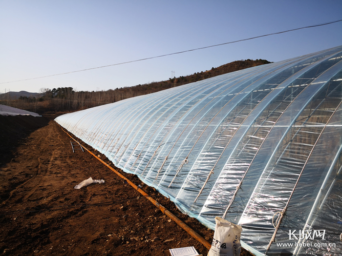 扶贫工作队给荒地乡引进的暖棚。