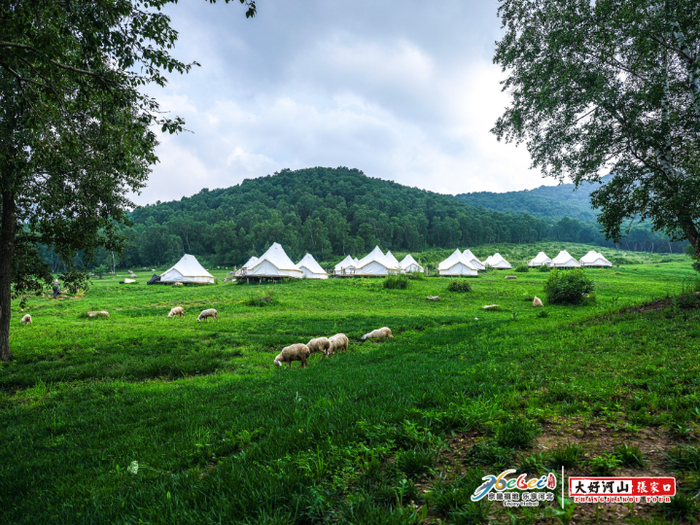 人与自然和谐共处。资料图