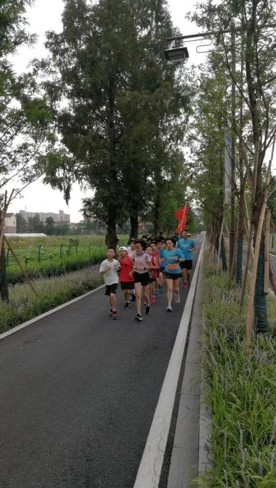 （图片来源：钱江晚报）