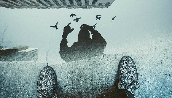 图片来源：Pexels- Alex Powell