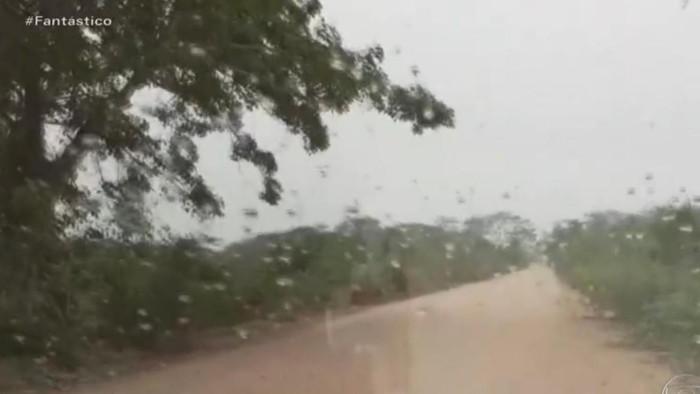  △图片源自巴西环球网