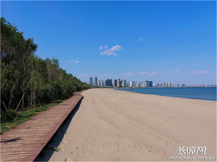 秦皇岛金屋至浅水湾浴场侵蚀岸段沙滩修复后。