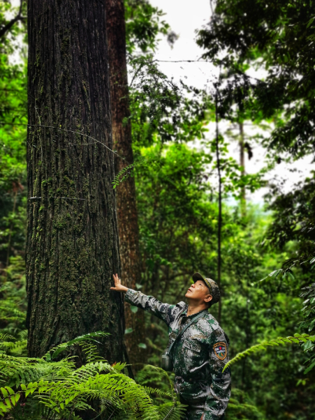图片来源：浙江省林业局