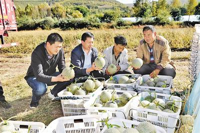 　　郭安治（左二）正在和村民商议玫珑瓜销售事宜。河北日报通讯员 王建军摄