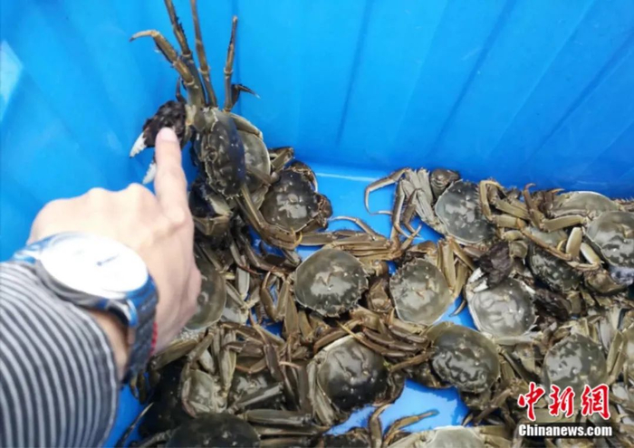 “在作死的边缘试探”，图为错误示范。