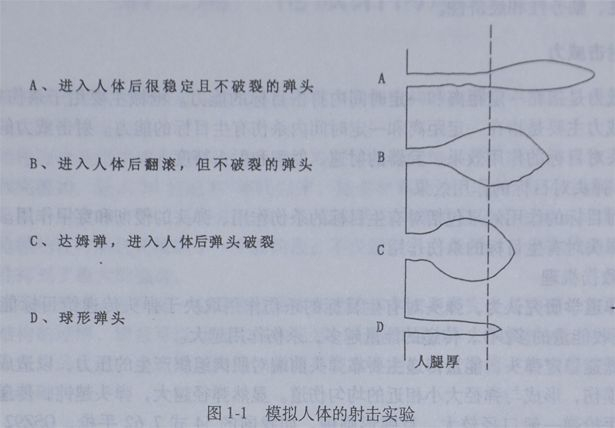 ▲模拟人体射击实验效果图