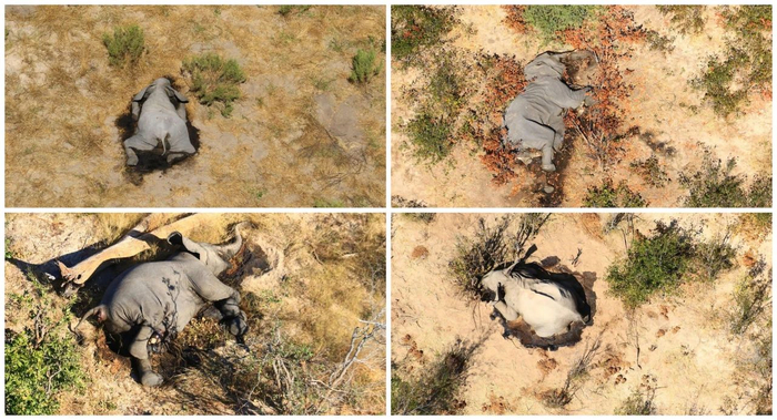 图片来源：National Park Rescue