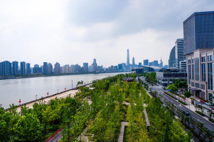 杨浦滨江    吴斯洁摄