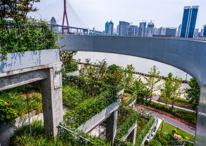 观光走道   吴斯洁 摄