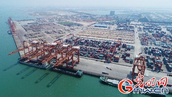 航拍钦州港保税区集装箱码头正在装卸集装箱 陈磊摄