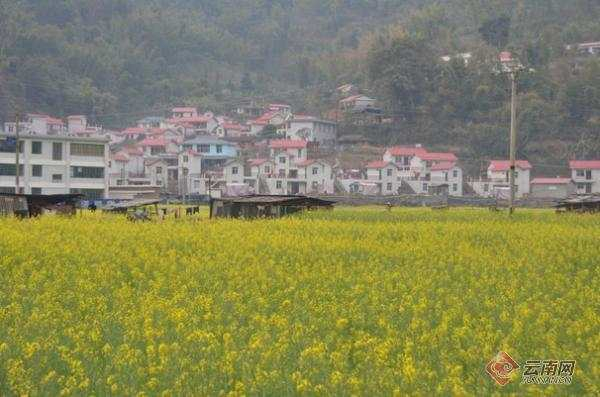 云南沧源勐来村：更好日子还在后头。供图