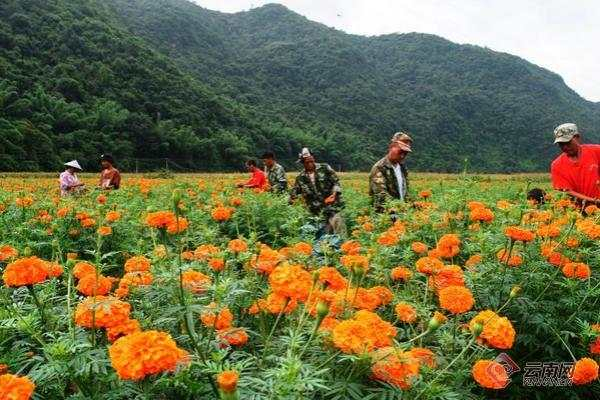 云南沧源勐来村：更好日子还在后头。供图