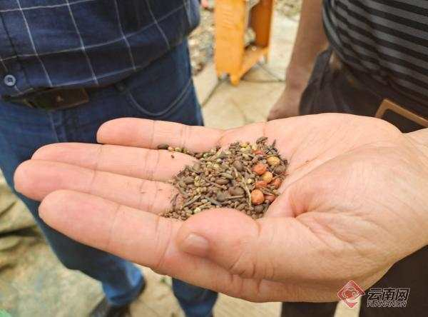 红河谷不仅有红色的土地，还有奇妙的“黑科技” 李吒 摄