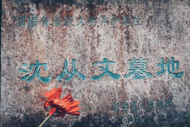 　　图说：酒祭沈从文墓地，采风团成员为先生送花。摄影师：长腿叔叔