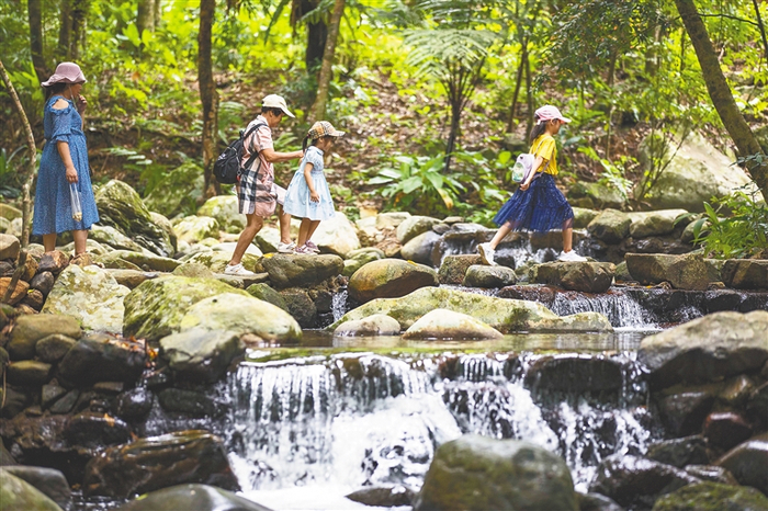 游客在琼中百花岭游玩。 海南日报记者 李天平 摄