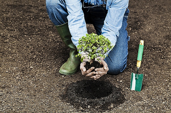 图片来源：视觉中国