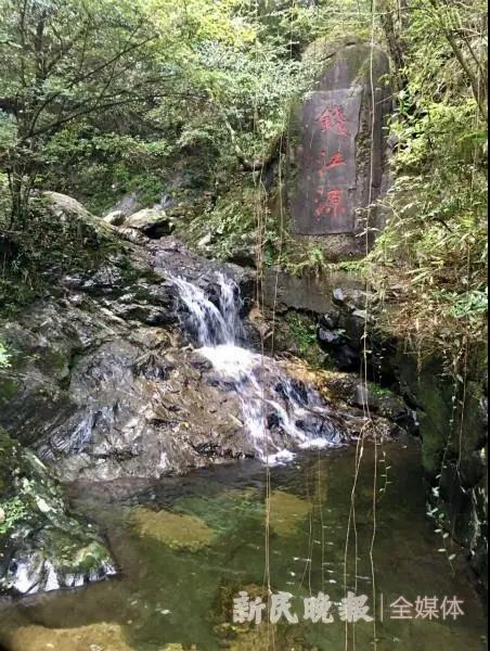 钱江源国家公园境内的钱塘江源头风景优美 姜燕/摄