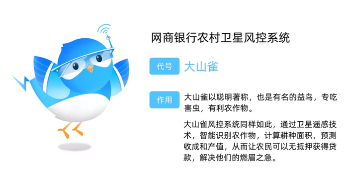 看起来一言难尽的大山雀