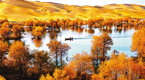 新疆塔里木河两岸，游客泛舟赏景。无边无际的戈壁，瀚海沙漠与百万亩胡杨倒映水中，令人陶醉。王传生摄