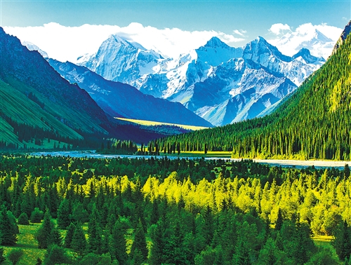 位于新疆伊犁州的夏塔峡谷雪山高耸，森林茂密，被评为“世界级原生态旅游目的地”，每年有数万名游客前来赏景。秦杰摄