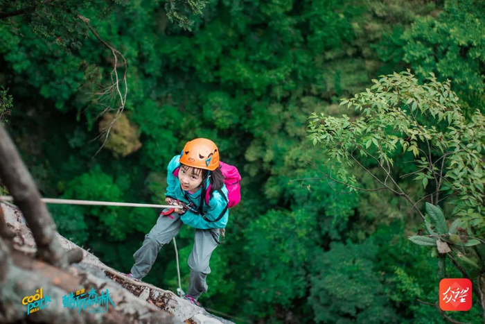 资料图：荔波酷玩森林