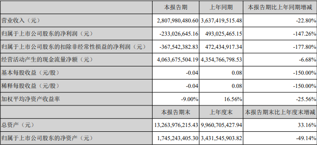 截图自中公2020年半年报