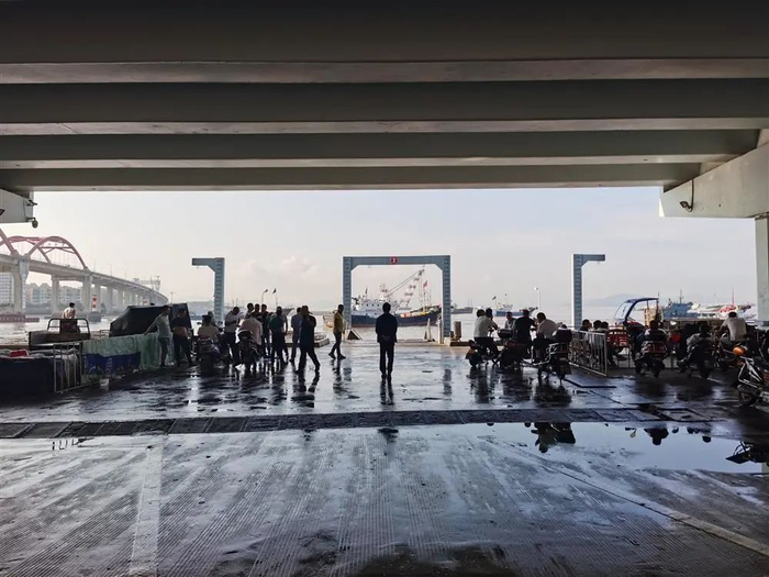 往年堵得水泄不通的码头如今难见车水马龙，只见等蟹的蟹贩和等待工作的搬运工。   文中图片均雷册渊 摄