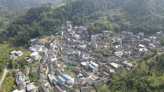 图为樟坡村部分村组航拍图