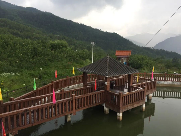 东阳村观光果园。孙梦宇摄