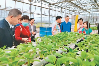 台商参观江西井冈山农业科技示范园。　　资料