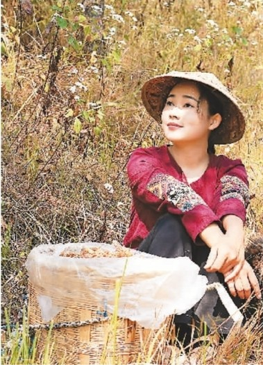 “滇西小哥”在山里采摘水果。受访者供图