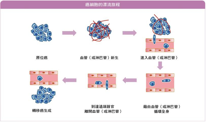 图片来源：清华大学生物科技研究所