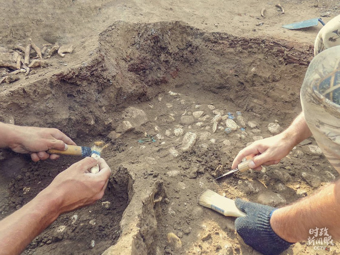 △河北康保兴隆遗址以房址居多，还有一座室内葬合葬墓，为早期定居聚落提供了实证。