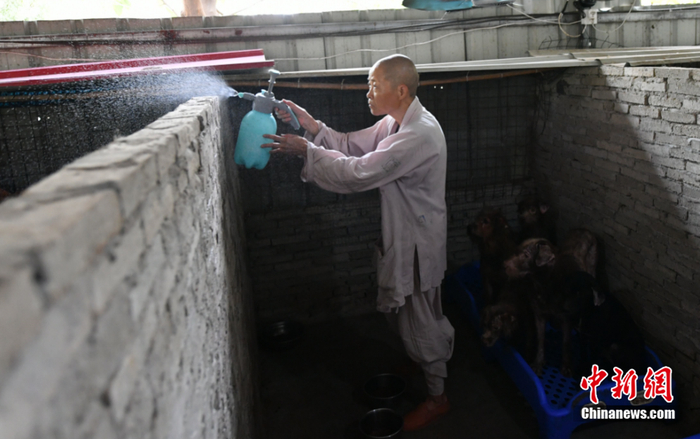 释寅慧在给犬舍喷消毒液。中新社记者 吕明 摄