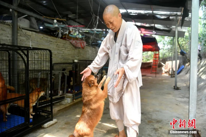 释寅慧。中新社记者 吕明 摄