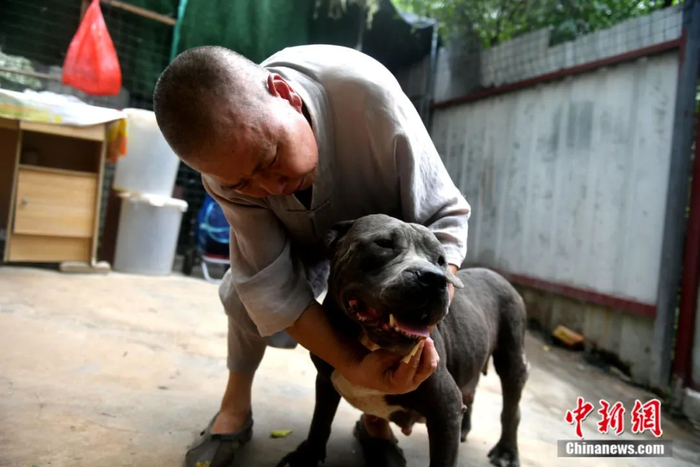 释寅定与流浪狗黑风。中新社记者 吕明 摄