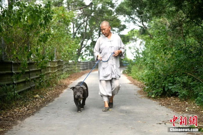 每天牵着流浪狗在无人的山道上散步是释寅定和释寅慧的“必备工作”。图为释寅定在遛流浪狗黑风。中新社记者 吕明 摄