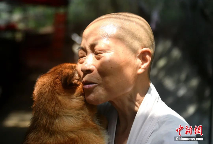 释寅慧与收养的流浪狗。中新社记者 吕明 摄