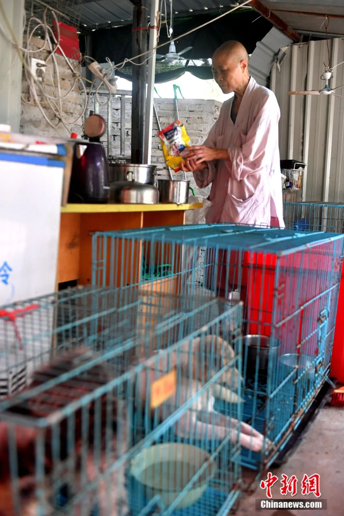 释寅慧在给小奶犬冲泡奶粉。中新社记者 吕明 摄