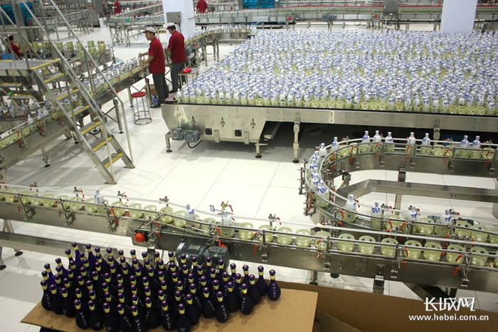 现代化的包装生产线。 长城网记者 郑建卫 摄