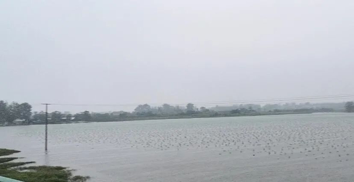 农用水库