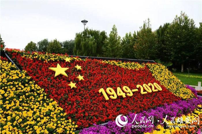 国庆主题的花坛景观“点亮”雄安新区。朱峙委/摄