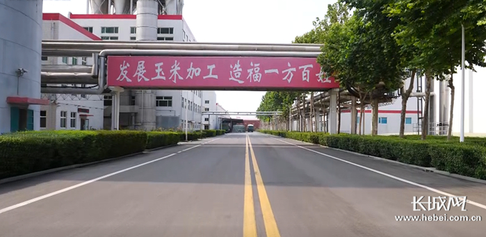 玉锋实业集团厂区。