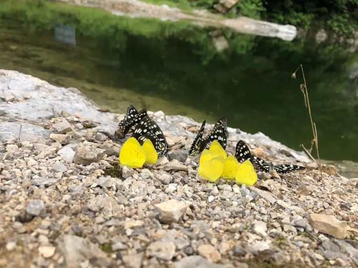 南报融媒体记者 张华摄