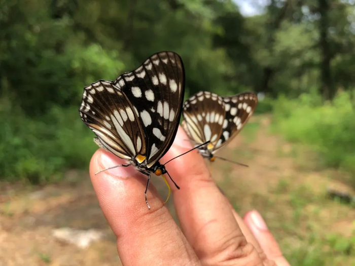 南报融媒体记者 张华摄