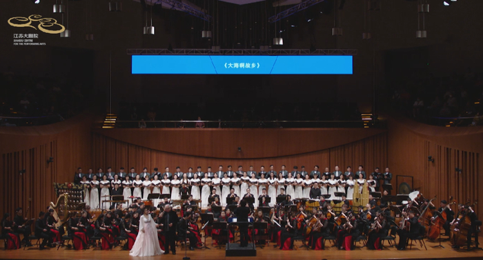 音乐会现场。视频截图