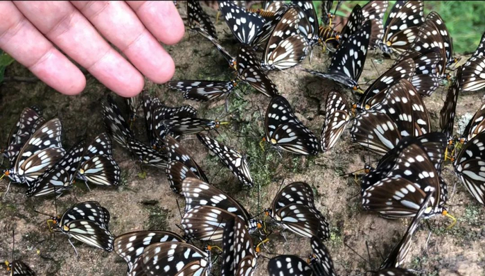 南报融媒体记者 张华摄