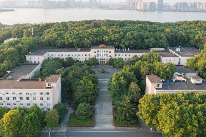 树人树木，主楼掠影（学通社记者 孙泊远 摄）