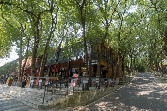 安静的“樟树底”（学通社记者 刘博文 摄）